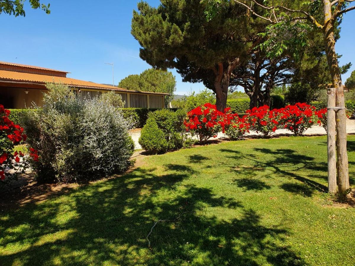 Agriturismo Fusini Magliano in Toscana Ngoại thất bức ảnh