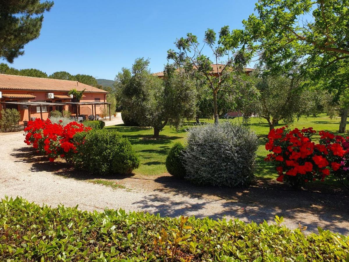 Agriturismo Fusini Magliano in Toscana Ngoại thất bức ảnh