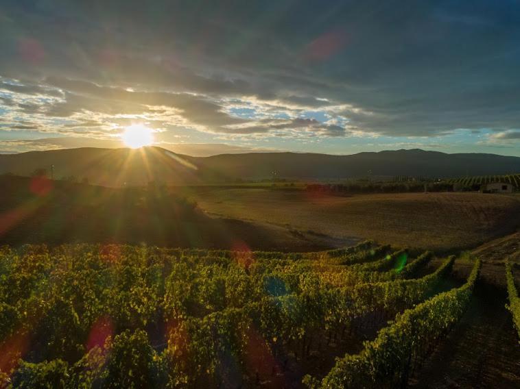 Agriturismo Fusini Magliano in Toscana Ngoại thất bức ảnh