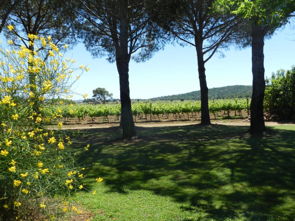 Agriturismo Fusini Magliano in Toscana Ngoại thất bức ảnh