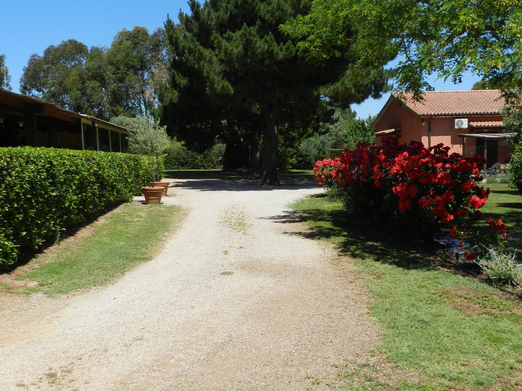 Agriturismo Fusini Magliano in Toscana Ngoại thất bức ảnh