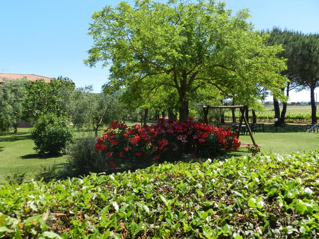 Agriturismo Fusini Magliano in Toscana Ngoại thất bức ảnh