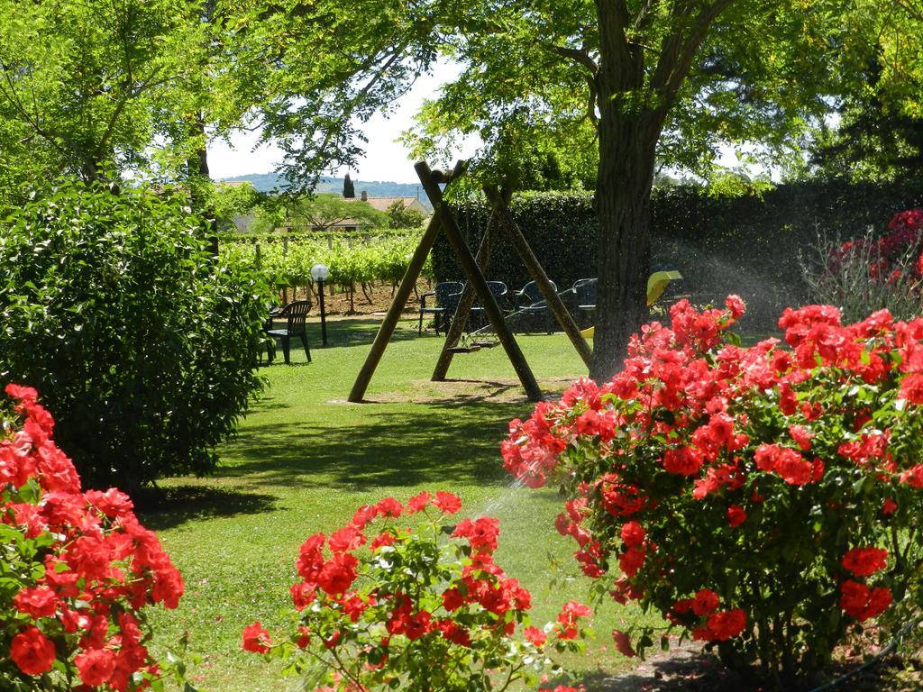 Agriturismo Fusini Magliano in Toscana Ngoại thất bức ảnh