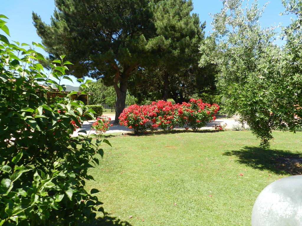 Agriturismo Fusini Magliano in Toscana Ngoại thất bức ảnh