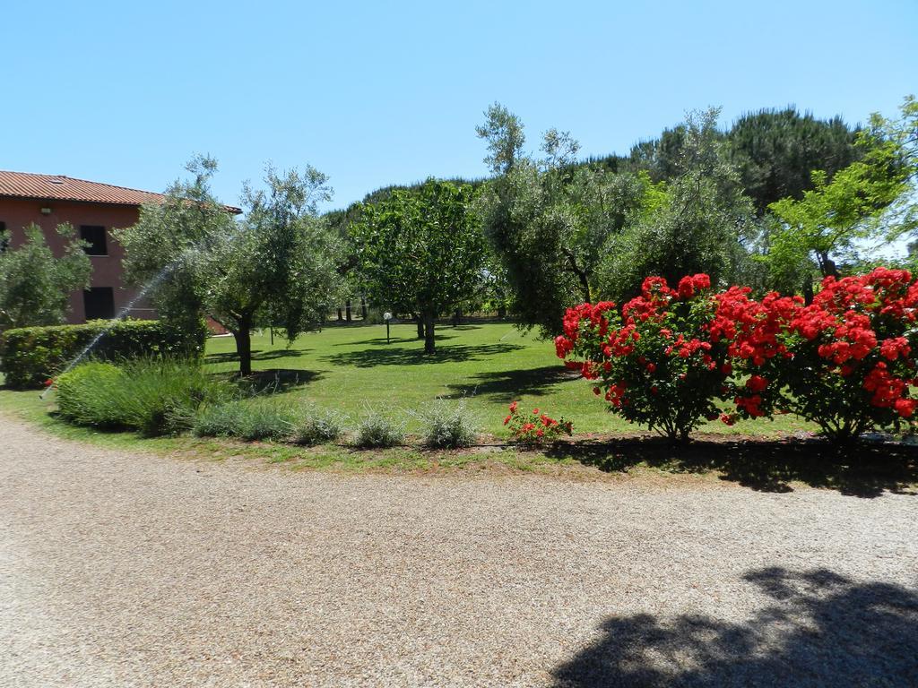 Agriturismo Fusini Magliano in Toscana Ngoại thất bức ảnh