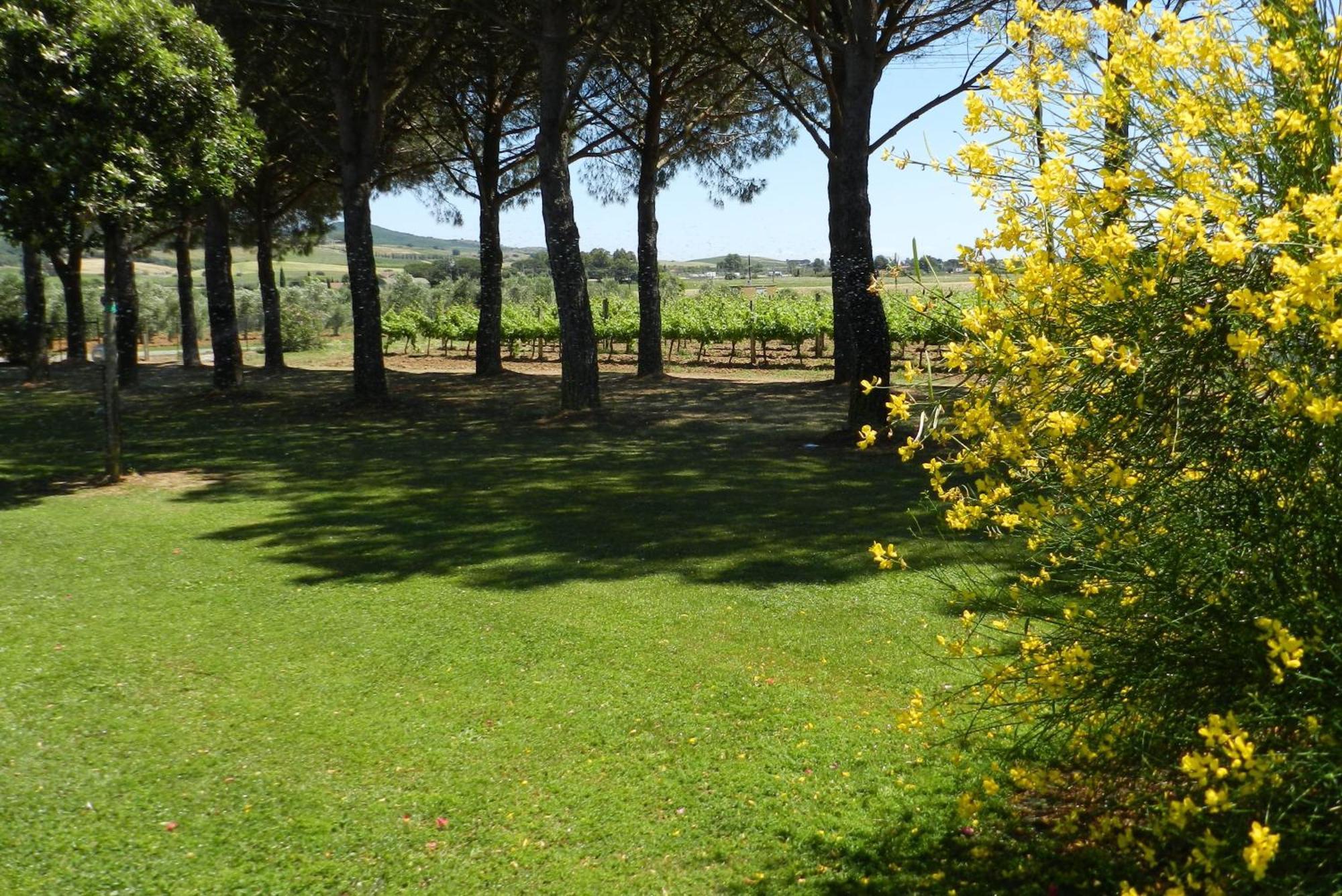 Agriturismo Fusini Magliano in Toscana Ngoại thất bức ảnh