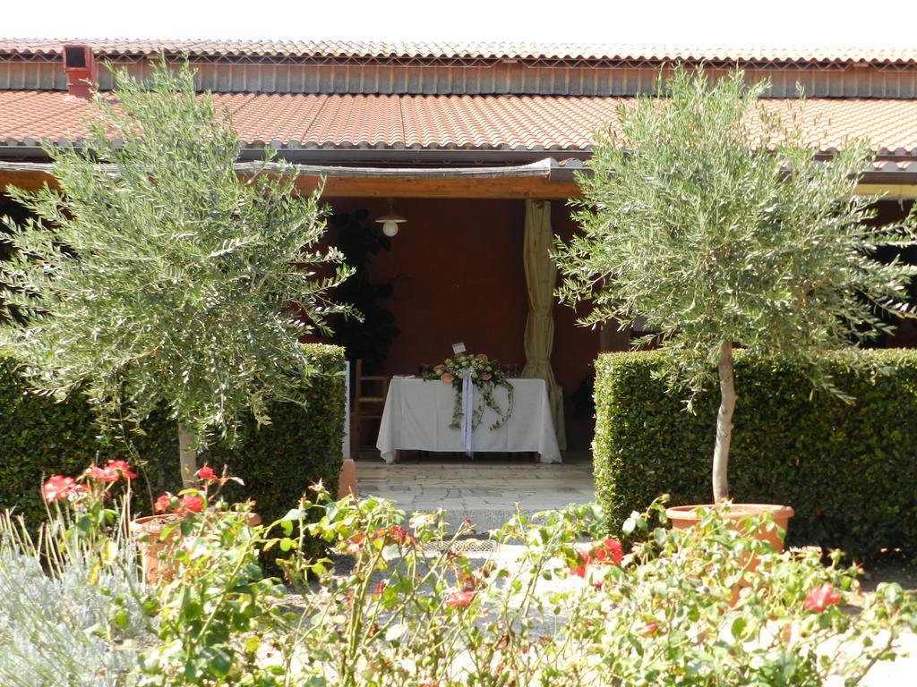 Agriturismo Fusini Magliano in Toscana Ngoại thất bức ảnh