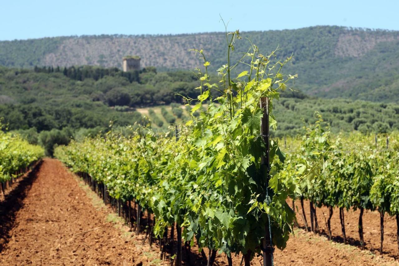 Agriturismo Fusini Magliano in Toscana Ngoại thất bức ảnh