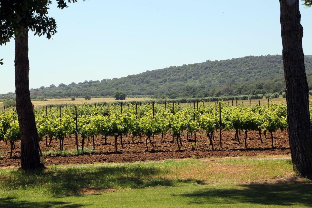 Agriturismo Fusini Magliano in Toscana Ngoại thất bức ảnh